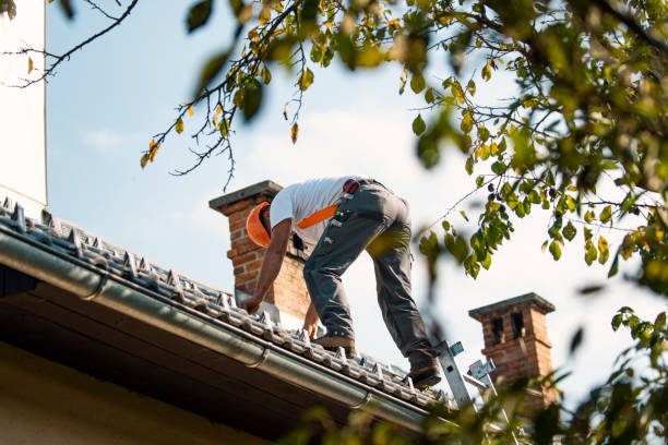 Best Storm Damage Roof Repair  in Armada, MI