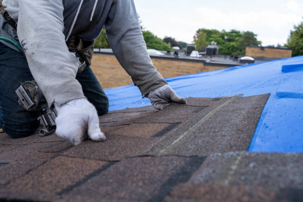 Best Roof Leak Repair  in Armada, MI