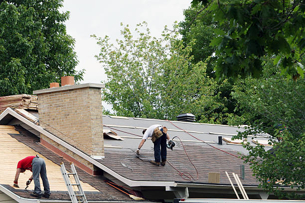 Best Roof Maintenance Services  in Armada, MI